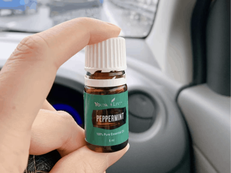 Best Essential Oils for Cars