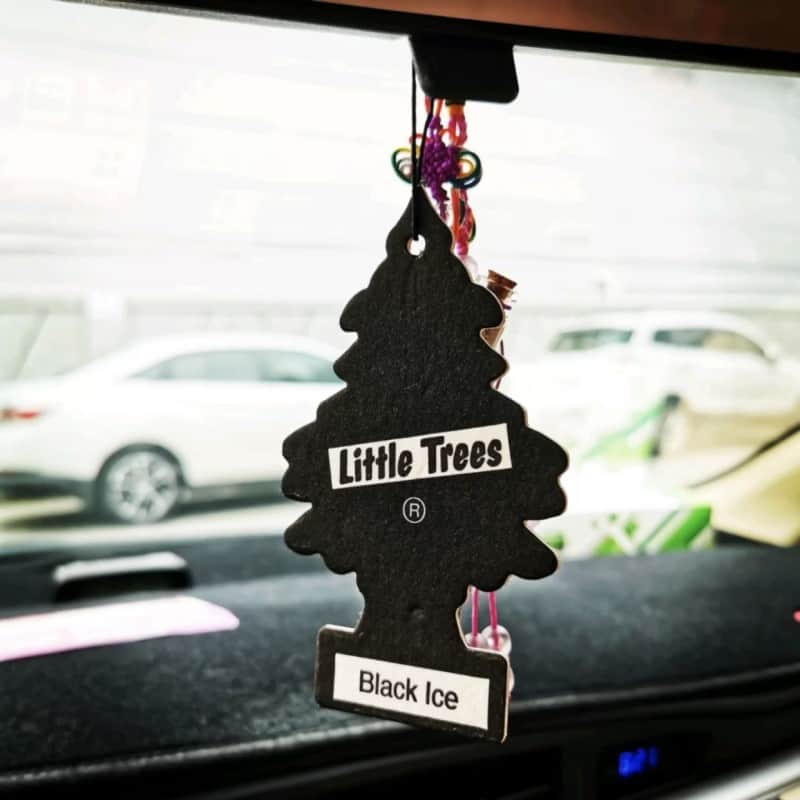 Little Trees Air Fresheners Review