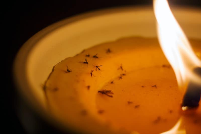 Can You Burn A Citronella Candle Indoors