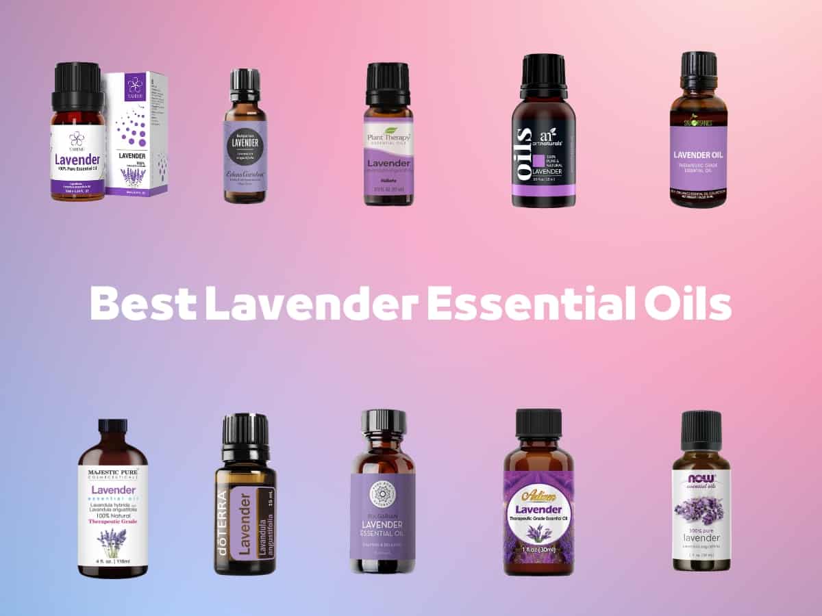 Best Lavender Essential Oils