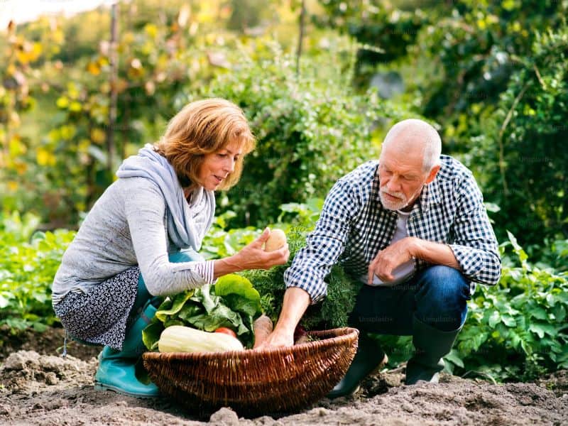 What Should Californians Know About Maintaining A Great Garden